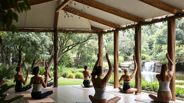 Découvrez les meilleurs espaces yoga et pilates à Waterloo